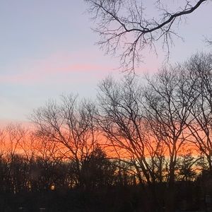 Meet your Posher, Bianca